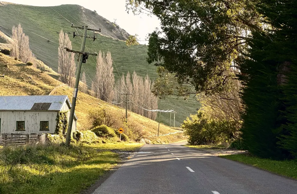 A country road curving past an old woolshed under a green hillside at golden hour