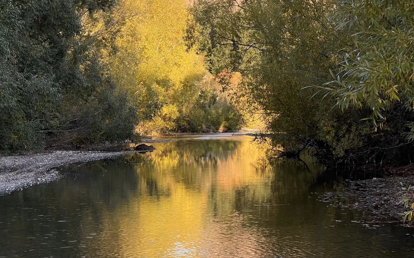 Golden autumn trees reflected in the still surface of a river